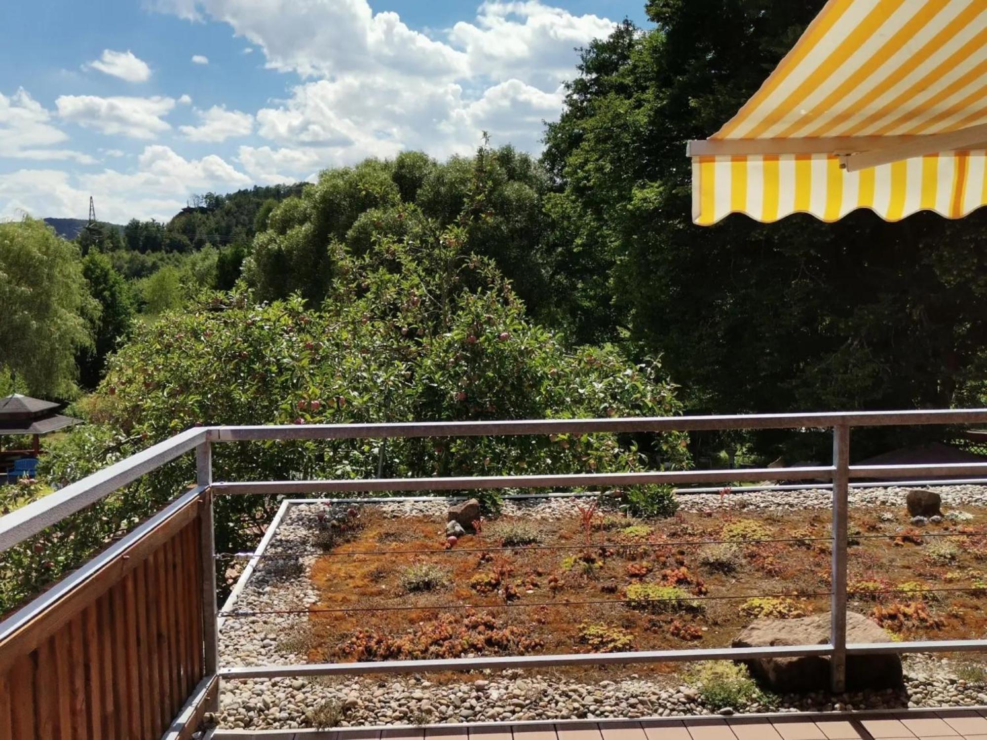 Ferienwohnungen 'Blick Zur Madonna' Fischbach エクステリア 写真